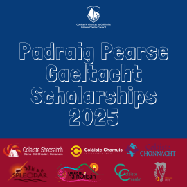 Padraig Pearse Scholarship 25